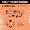 LMNT Zero Sugar Electrolytes - Grapefruit Salt | Drink Mix | 30 Count