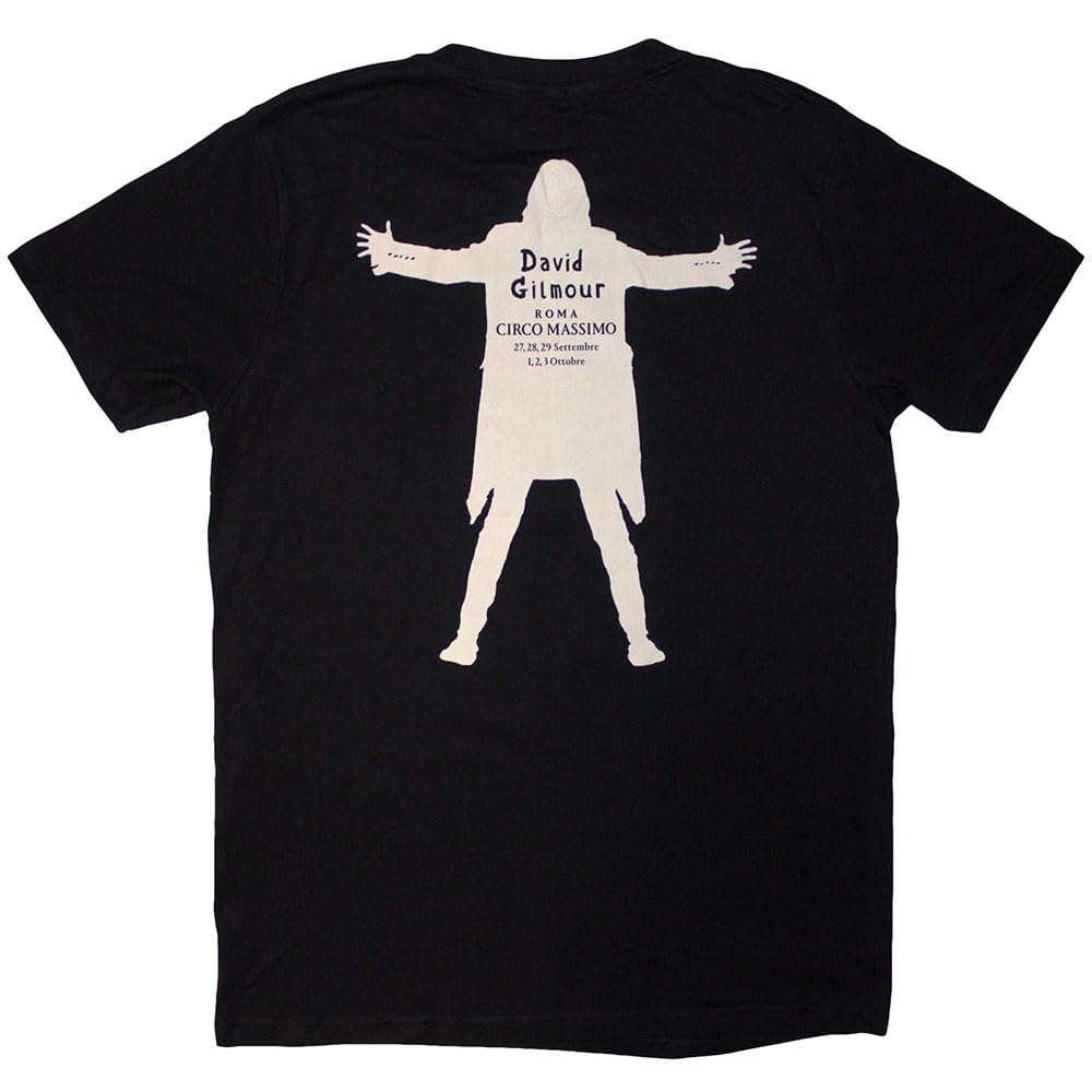 Rock Off Officially Licensed Products David Gilmour Luck & Strange Luck and Strange T Shirt, Black, XL