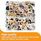 Zoom IMG-2 sgerufz set di 50 divertenti Zoom IMG-2 sgerufz set di 50 divertenti