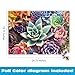 Buffalo Games - Simple Succulent - James Mertke - 1000 Piece Jigsaw Puzzle for Adults - Challenging Puzzle for Game Nights - Vibrant Plant Artwork - Finished Size 26.75 x 19.75 - Made in the USA