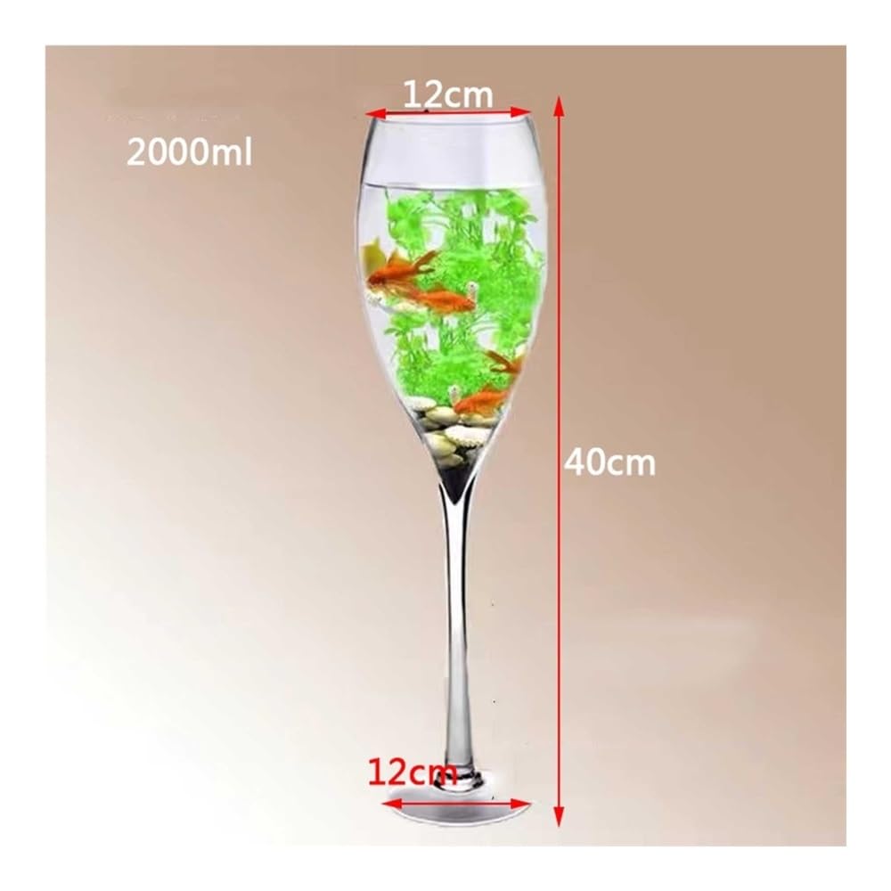Aquarium Klares Glas-Aquarium in Champagnerglasform – Aquarium als Heimdekoration(12cmx40cm)