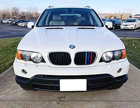 Amazon Com Ijdmtoy 精確合身 M 彩色格柵嵌件裝飾裝飾裝飾 相容於1999 03 Bmw E53 X5 Pre Lci 含8 束腎烤架 Everything Else