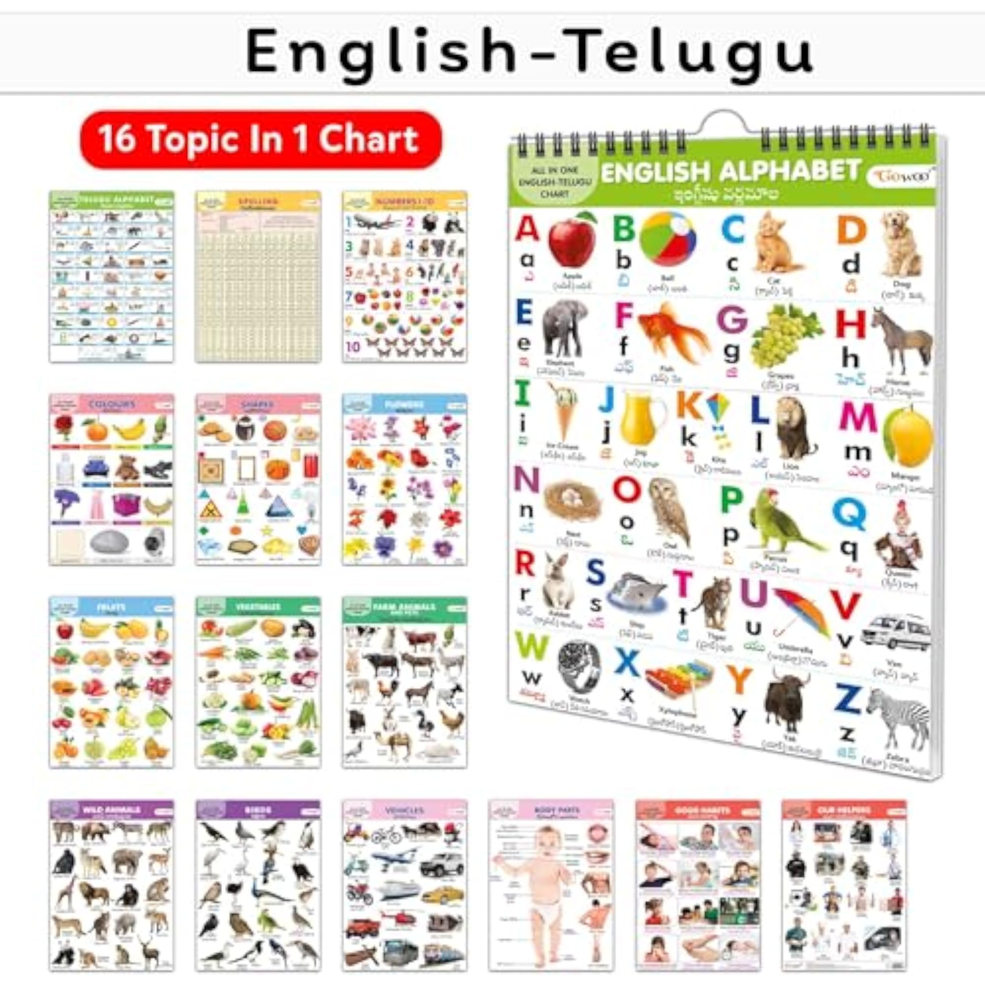 My First ALL IN ONE SPIRAL CHART ENGLISH-TELUGU