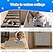 AZOPO Dog Door Scratch Protector,Dog Nail File Board, Scratch Door Protector,self-Adhesive Instead of Emery Paper,pet Scratch Areas,Substitute for Dog Nail Clippers (10 inches * 12.5 feet,Gray)