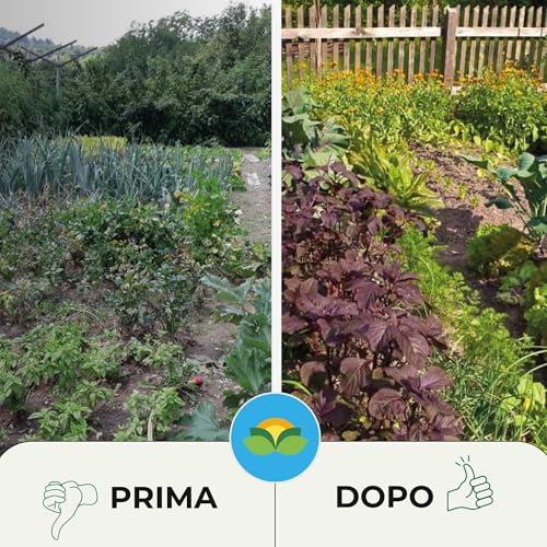 Albagarden - Ossicloruro Di Rame effetto Fungicida per Piante - Verderame e Concime Contro Malattie come Peronospora, Bolla del Pesco, Oidio - Liquido x 1 kg - 6