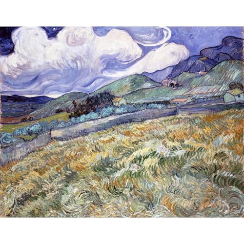 Van Gogh Paysage de Saint-Remy décoration murale impression giclée