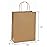 BagDream 10x5x13 Kraft Shopping Bags 100Pcs Brown Paper Bags with Handles Bulk, for Gifts, Merchandise, Retail, Party Favor, Take-out, Grocery, Recycled Paper Gift Sacks