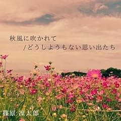 �ǂ����悤���Ȃ��v���o���� / ��꣑��Y