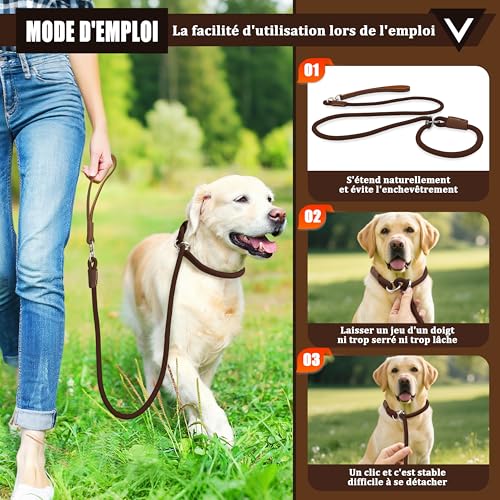 Hundeleine mit Zugstopp & Halsband, 150 cm Trainingsleine aus robustem Nylonseil, Slip Lead Leine mit Ledergriff & Metallringen, verstellbar für Mittelgroße & Große Hunde - Dunkelbraun