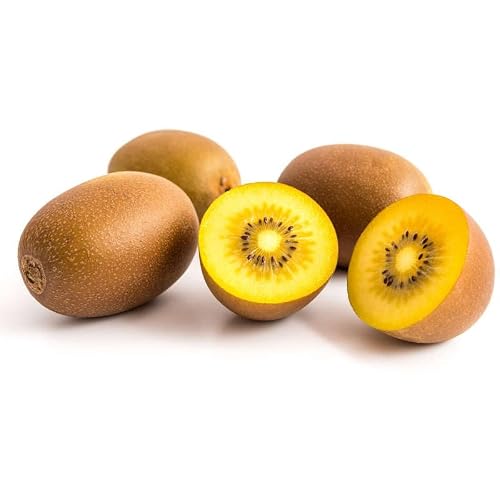 Kiwi gold bio en barquette x4