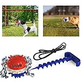 💖【Fácil de Usar】Fija el enchufe de tierra en el césped exterior o el suelo, y deja directamente la bola molar para que el perro juegue. Debido a que este juguete consume mucha energía del perro, por lo que recomendamos que el perro juegue de 20 a 30 minutos por vez, este juguete también es un interesante juguete de tirón de guerra.