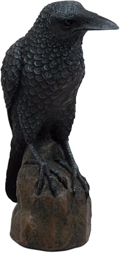 Miniatura 4 de Ebros Gift Figura gótica de cuervo cuervo carroñero pájaro posado en escultura de roca 6 pulgadas de alto, osario macabro presagro de condenación