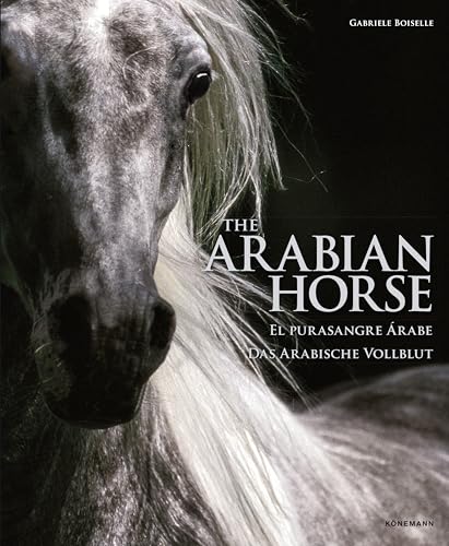 The arabian horses