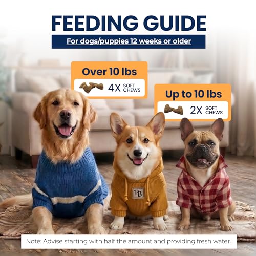 Image of Dog Skin and Coat Soft Chews with Salmon Oil, 60 Count | Fish oil and omega fatty acids support healthy skin, coat shine, moisture balance and normal shedding.