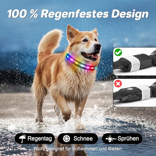 Feycig Leuchthalsband Hund Halsband Aufladbar - LED Hundehalsband Leuchtend USB Wasserdicht Einstellbare, 3 Modi, Leuchthalsband für Kleine Mittlere Große Hunde (Schwarz, M(38-50cm/15-19.7inch))