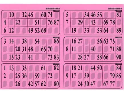 cavernedesjouets Carton Loto Bingo Plaque de 6 grilles imprimees - Rigide 1 mm, Couleur Rose, Format Standard - Set Accessoire tirage et Carte