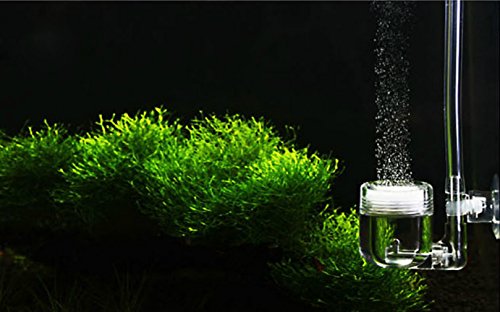 zjchao 4-in-1 CO2 Diffuser U-Model for DIY CO2 Bubble System Check Valve Plants Counter Aquarium