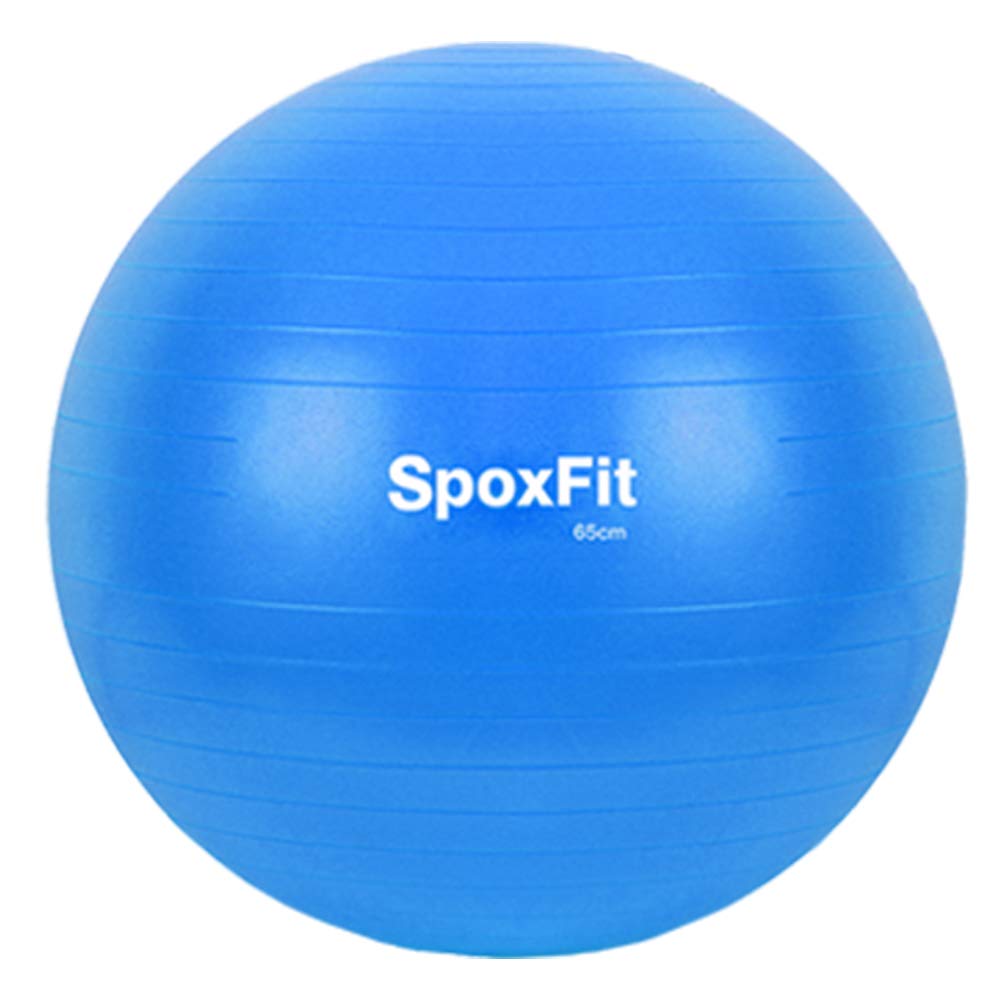 Buy SpoxFit Exercise Ball 65cm Stability Ball Without Foot Pump Online