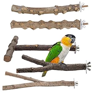 Vogelspeelgoed 5 stks Parrot Bird Tshes Natural Wood Fork Standing Stick Cockatiel Parakeet Bite Claw Malende Speelgoed…