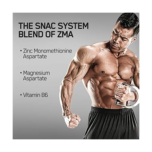 OPTIMUM-NUTRITION-ZMA-Muscle-Recovery-and-Endurance-Supplement-for-Men-and-Women-Zinc-and-Magnesium-Supplement-180-Count OPTIMUM NUTRITION Muscle Recovery and Endurance Supplement for Men and Women, Zinc and Magnesium Supplement, 180 Count