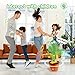 Kids Dancing Talking Cactus Toys for Baby Boys and Girls, Singing Mimicking Recording Repeating What You Say Sunny Cactus Electronic Light Up Plush Toy with 120 English Songs Smart Toy