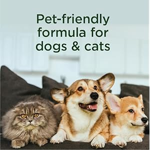 SimpleSource-Flea-Tick-Home-Pet-Spray-Powered-by-Plants-Kills-Fleas-Flea-Eggs-Flea-Larvae-Ticks-Kills-Repels-Mosquitos-32oz-Bottle - Cucciolini Doodles   SimpleSource-Flea-Tick-Home-Pet-Spray-Powered-by-Plants-Kills-Fleas-Flea-Eggs-Flea-Larvae-Ticks-Kills-Repels-Mosquitos-32oz-Bottle