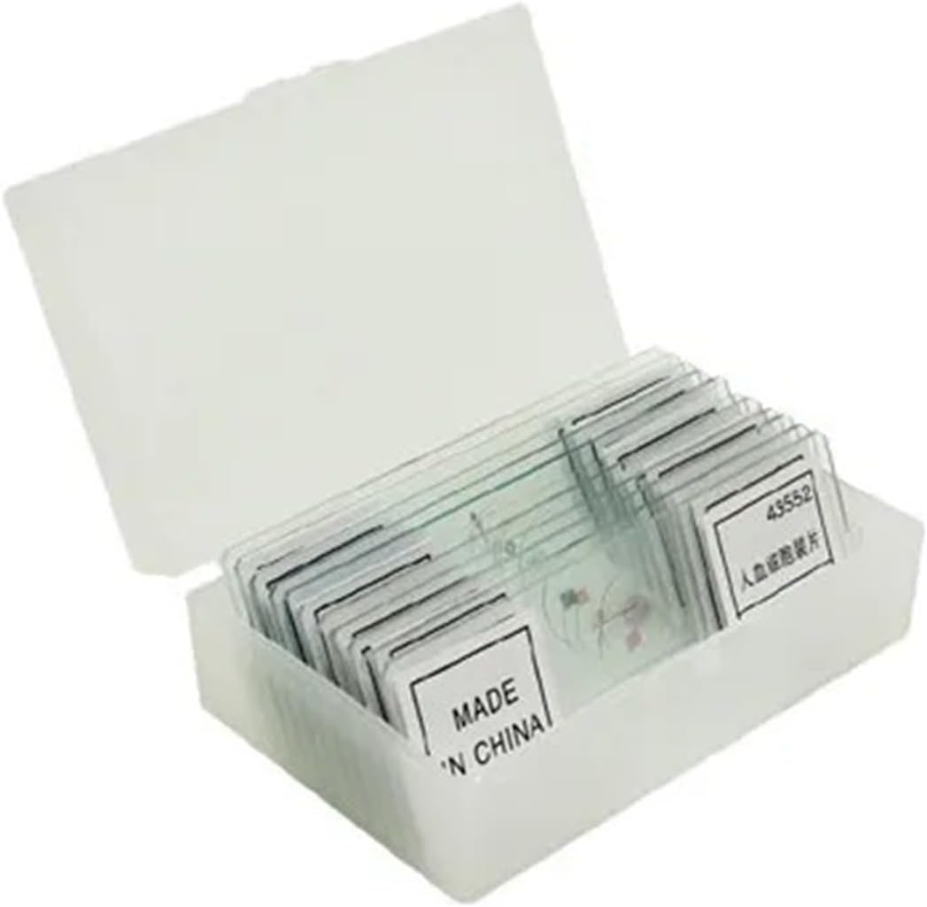 Lab Microscope Replacement Parts 11/25/50/91 Pieces Sample Prepared Microscope Slide School Biological Lab