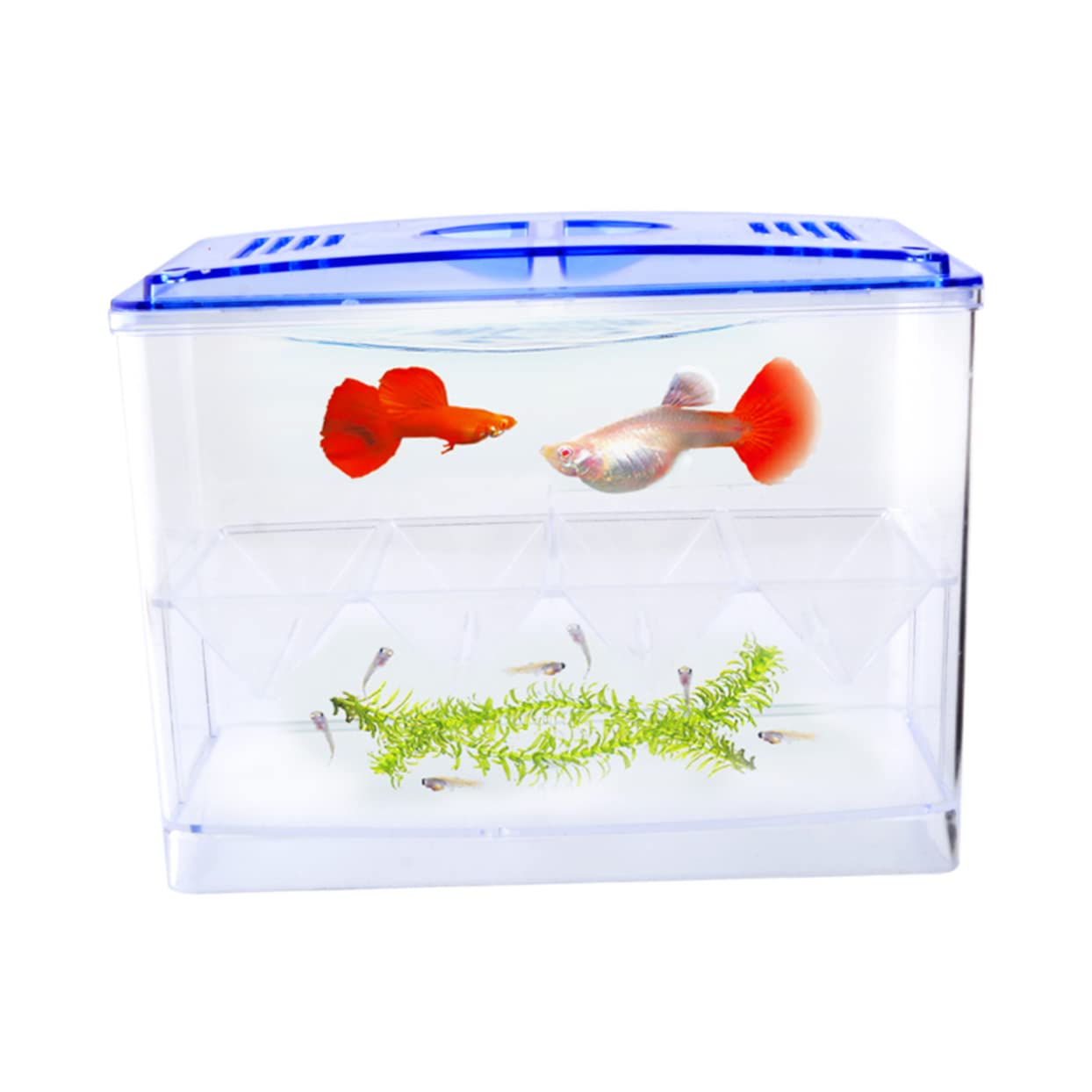 WOONEKY 3 Stücke Lebensraum Schlüpfen Box Für Aquarium Zucht Sichere Inkubator Praktische Design