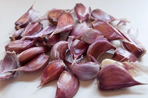 Chesnok Wight Garlic New Season 60 Seeds Cloves Fresh for New Season Hardy Green