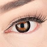 Sehr stark deckende und natürliche Braune Kontaktlinsen SILIKON COMFORT NEUHEIT farbig 'Mila Black' + Behälter von GLAMLENS - 1 Paar (2 Stück) - DIA 14 mm - ohne Stärke 0.00
