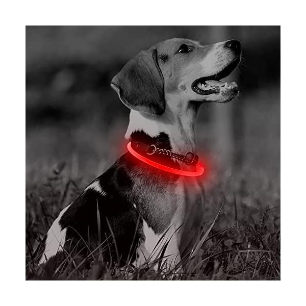HIGO-LED-Dog-Collar-Rechargeable-Light-Up-Dog-Collar-LED-Safety-Necklace-for-Nighttime-Walking-Red Adjustable LED Dog Collar - GlowPup: The Ultimate Choice