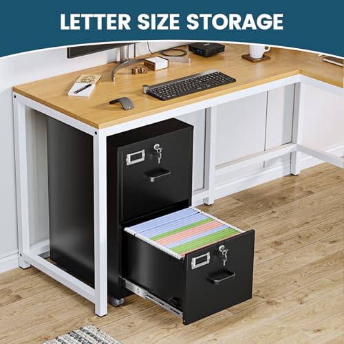 Image of MIIIKO 2 Drawer File Cabinet with Lock, Vertical Metal Filing Cabinets for Home Office, Lockable Storage File Cabinets Under Desk, A4 /Letter File Folders(Black)-Assembly Required