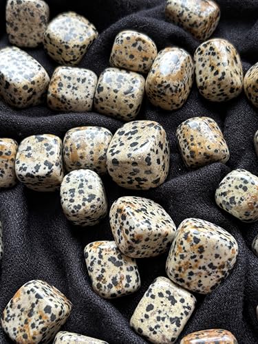 Image of Tumbled Stones, Natural Crystal Healing Stones, Home Office Decor, Aquarium Decorative Pebbles, Vase Fillers (Dalmation Jasper, 100)