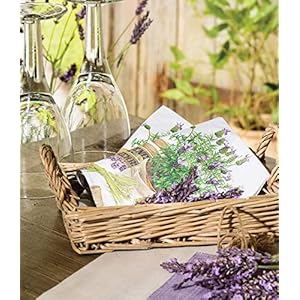 Boston International IHR 3-Ply Paper Napkins, 16-Count Guest Size, Everlasting Love Boston International IHR 3 Ply Paper Napkins 16 Count Guest Size Everlasting Love