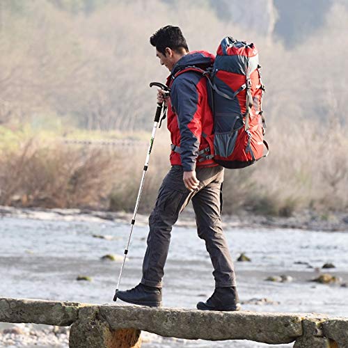 Outdoor Anti Shock Nordic Walking Kije lekkie teleskopowe kijki trekkingowe turystyczne