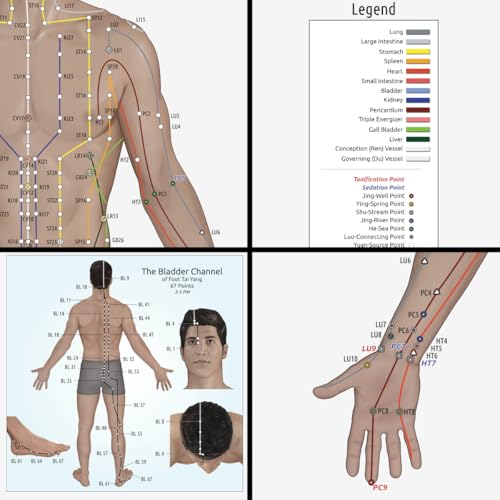 Image of Miridia Acupuncture Chart - Huge Laminated Anatomical TCM Meridian & Points Poster - Clinic /Study Use - Accurate Acupuncture Point Chart - Clear Labels - Comprehensive Meridian System - 36x36, Male