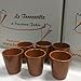 amazing cassiano Bicchieri in Terracotta Lucidi Set 6 Pezzi