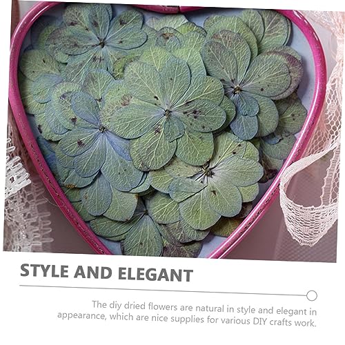 30 pétalos de flor hortensia prensada multicolor para DIY miniatura 2