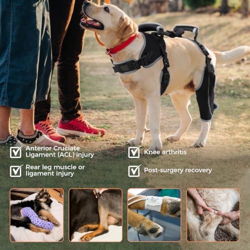 Image of Adjustable Support Dog ACL Brace Hind Leg-Left Leg-Upgraded-XL Size