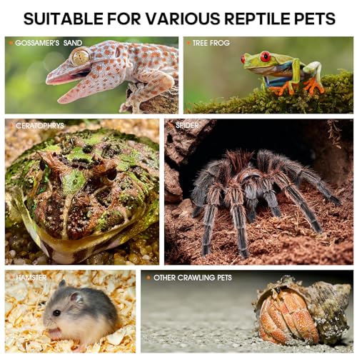 Mygiikaka CWMX00001-L Acrylic Jumping Spider Enclosure, Insect Terrarium, Bug Enclosure, Spider Cage, Jumping Spider Habitat, Praying Mantis Habitat, Arboreal Tarantula Enclosure thumb #6