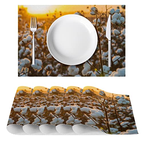 Set de table en coton 30x45cm lot de 6 antidérapant résistant chaleur table à manger - 3
