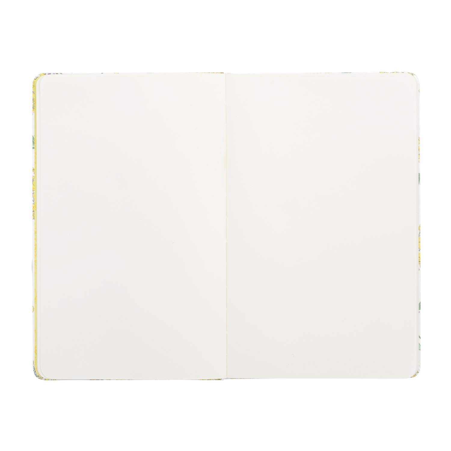 Amazon.co.jp: ポケモンセンターオリジナル MOLESKINE