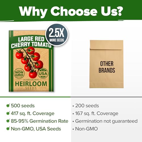 Image of HOME GROWN Large Red Cherry Tomato Seeds 500+ Heirloom Non GMO Seeds for Planting, High Germination, Indeterminate, Sweet & Juicy Salad Tomatoes, Prolific Garden Crop, Homestead (Solanum lycopersicum)