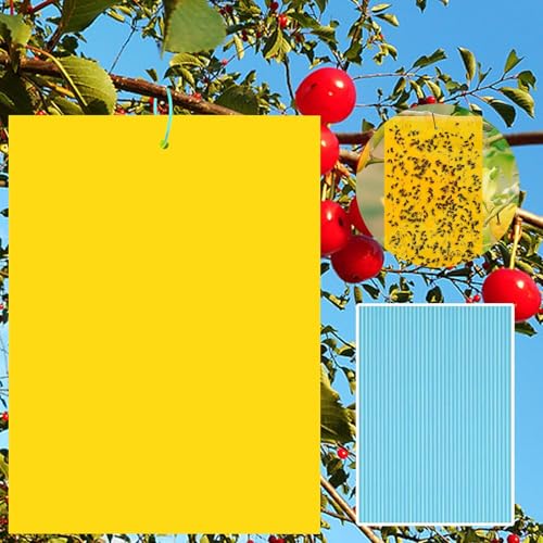 40 Pièces Pièges à Insectes Autocollants Jaunes Piège à Mouches Mouche Piège Double Face Anti Moucheron Plante Attrape Moucheron Plantes Jaune Papier Anti-Insecte Anti Blanc Feuille De Mouches