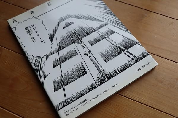 エリアファイル88 新谷かおる 原画集 エリア88 Amazon.co.jp: エリア88グラフティ 新谷かおる イラスト集/設定