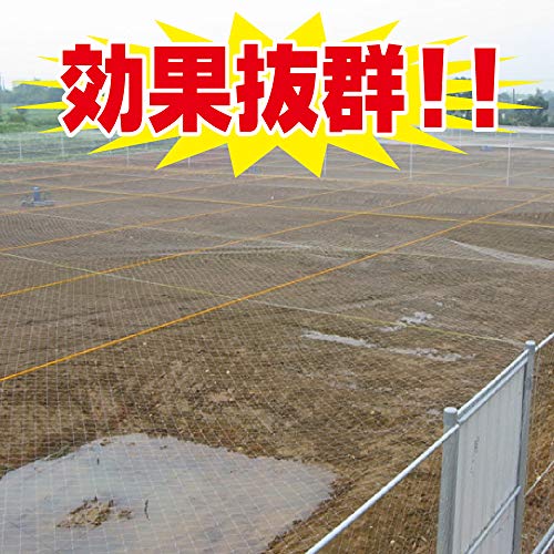 sac taske 透明 防鳥ネット ベランダ 鳥よけ 網 田畑 鳥害対策 ＆ 結束バンド 100本 (5m×10m) 8枚目