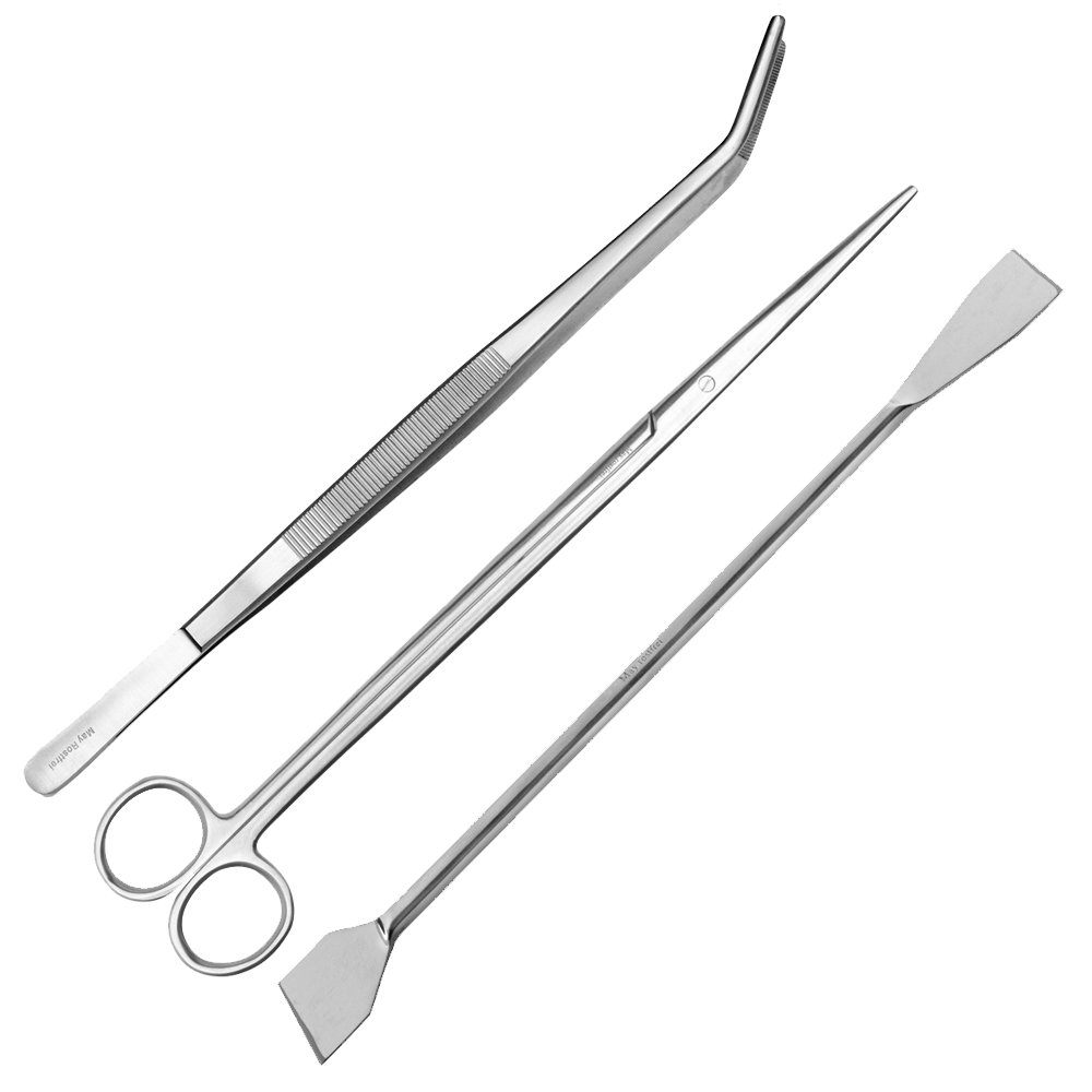 Kit d'aquarium courbé acier inoxydable 30 cm accessoire aquascaping pince ciseaux entretien plantes
