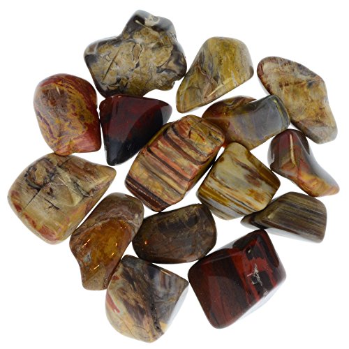Digging Dolls Tumbled Petrified Wood