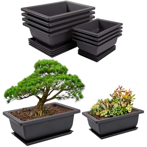 Bonsai Training Pot with Humidity Tray Cover