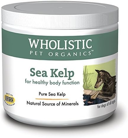 Wholistic Sea Kelp 1 lb